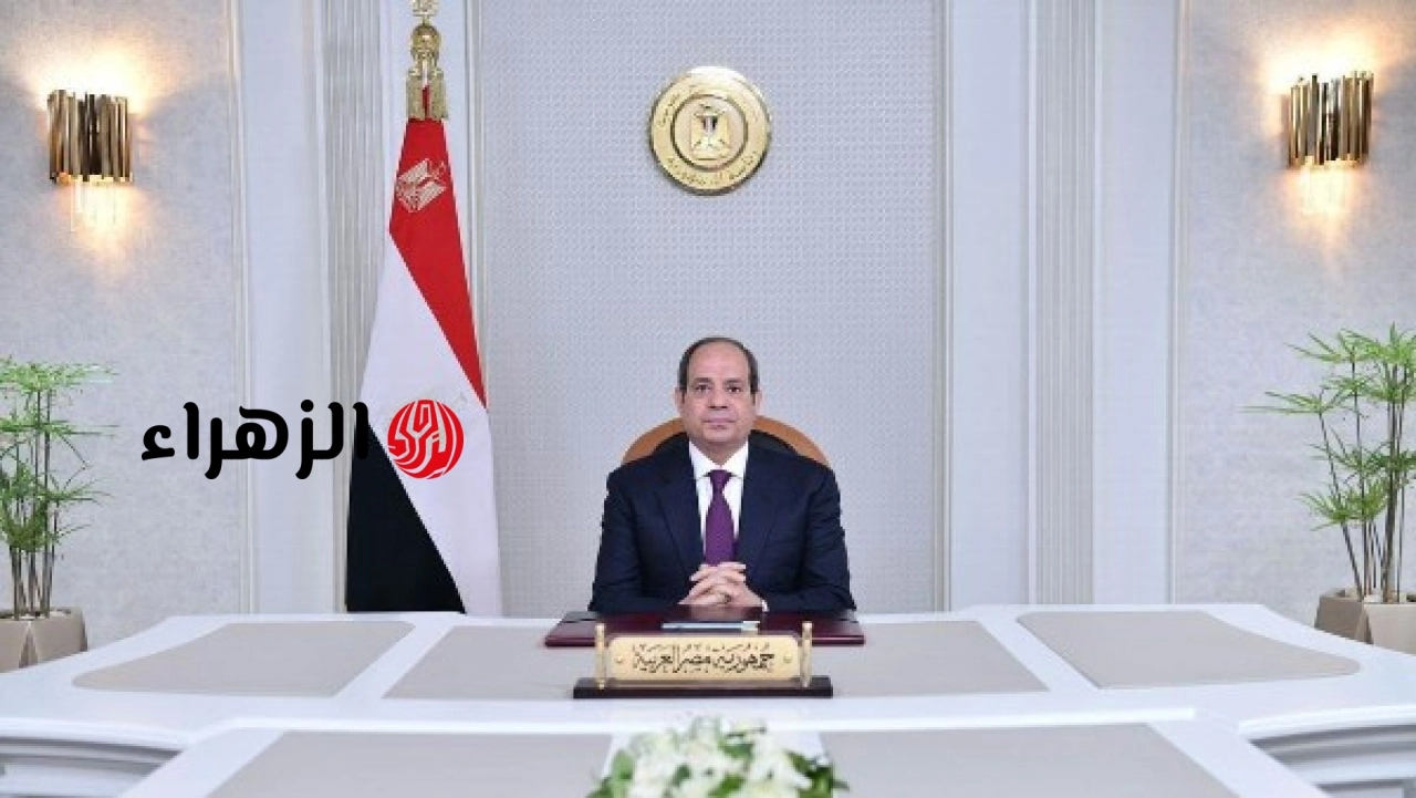 السيسي يقرر زيادة المعاشات ومخصصات جديدة بقيمة 2500 جنيه لبعض المستفيدين