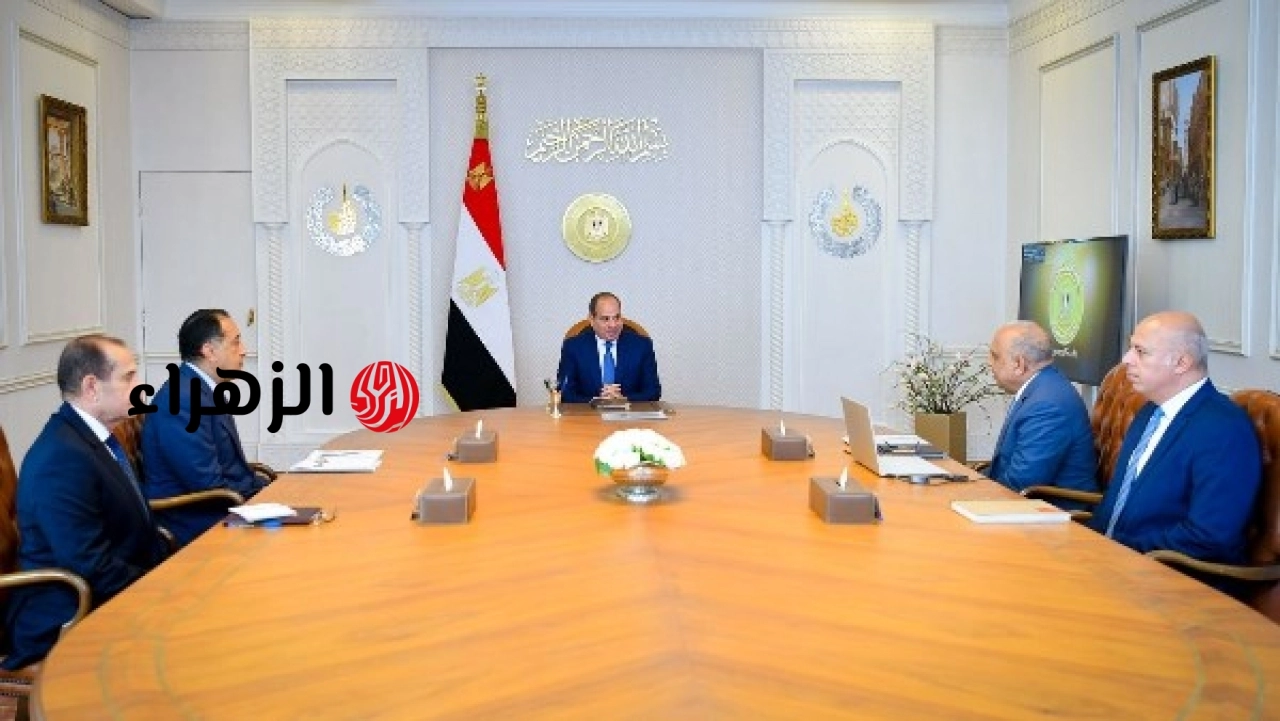 السيسي يوجه بالمتابعة والمراجعة الدورية لمشروعات الطاقات المتجددة