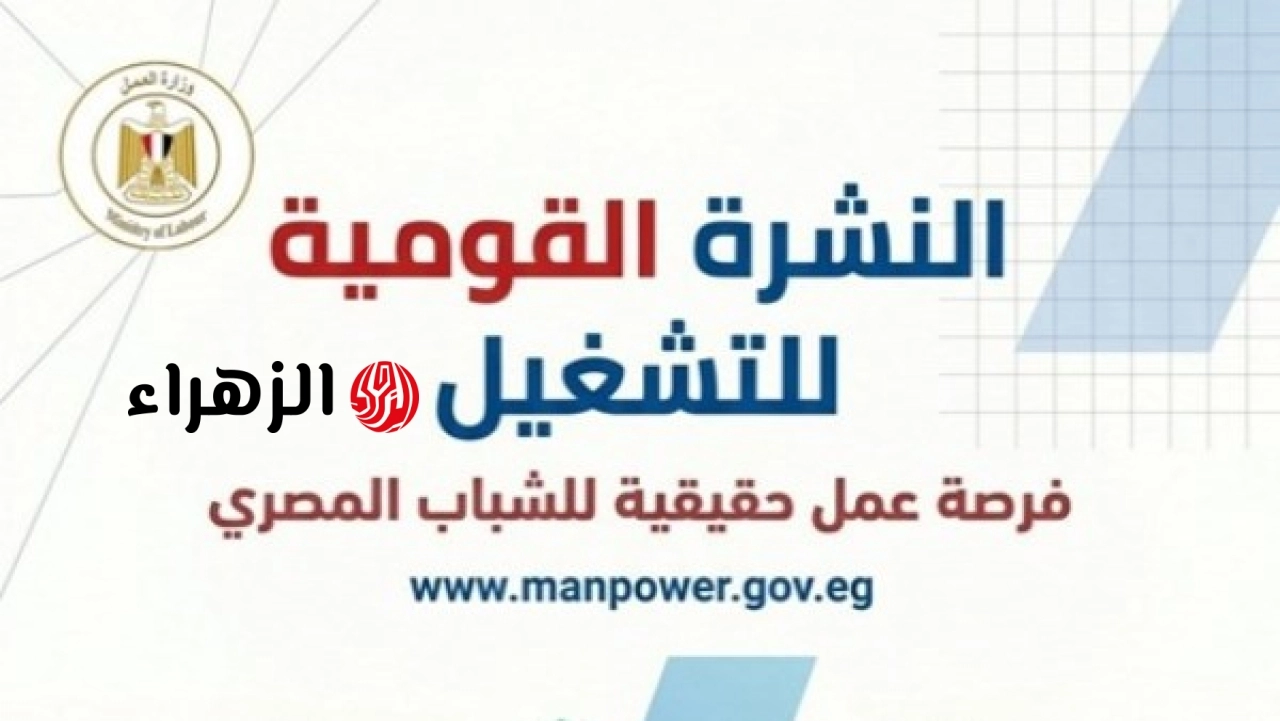 العمل يعلن توفير 5132 فرصة عمل في 11 محافظة والتقديم متاح خلال يونيو