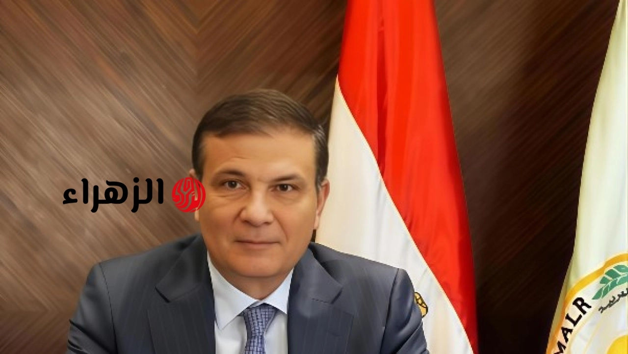القطاع الزراعي يشهد طفرة جديدة في عهد الرئيس عبد الفتاح السيسي