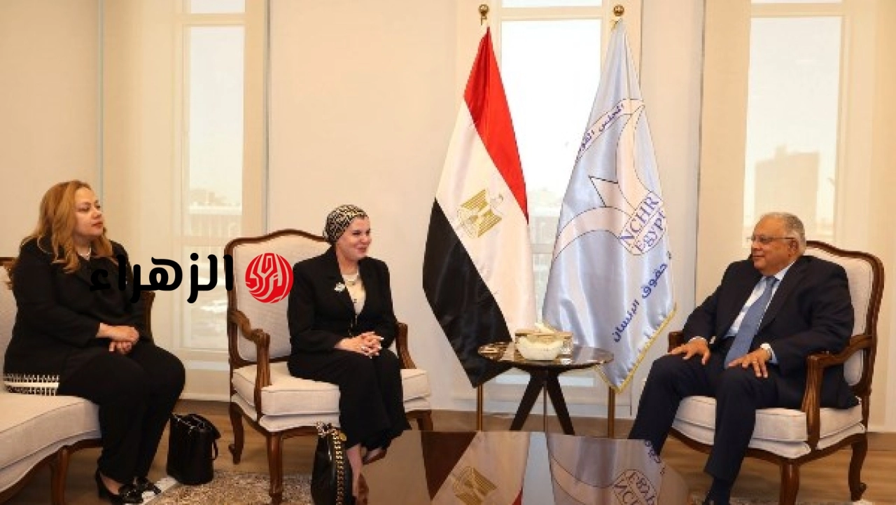 القومي لحقوق الإنسان والنيابة الإدارية يبحثان تطوير منظومة الشكاوى