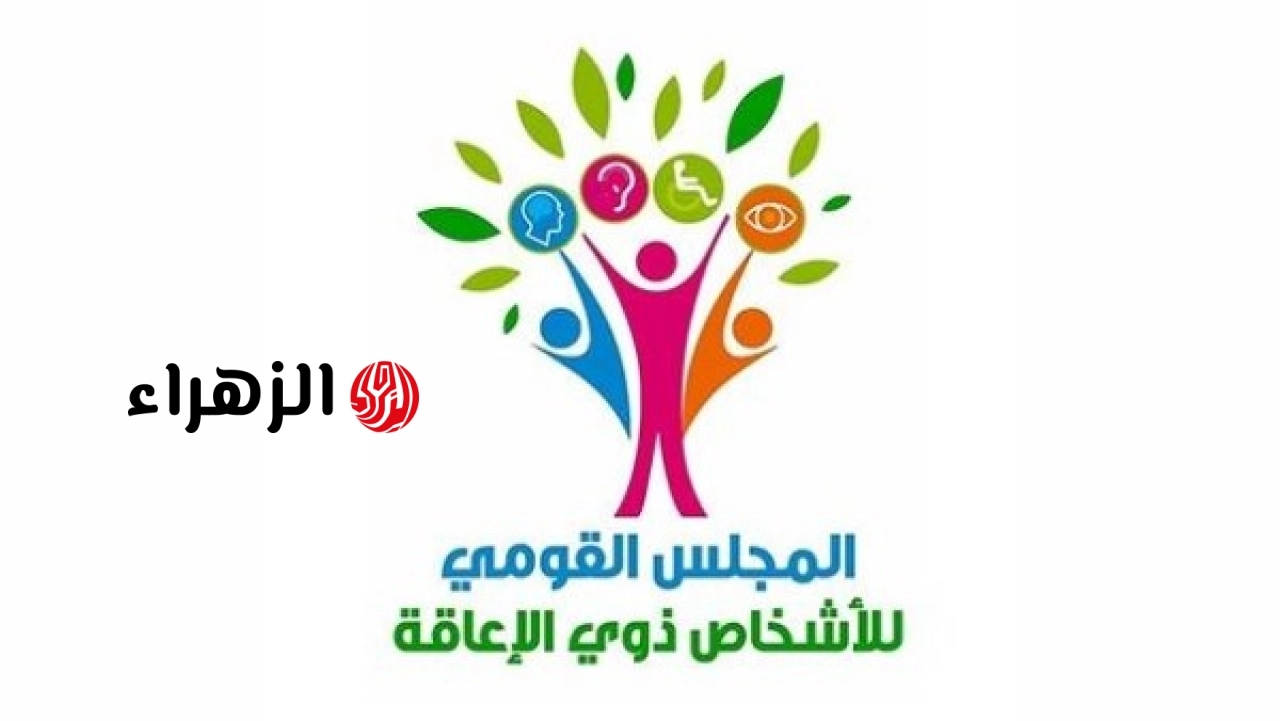 القومي لذوي الإعاقة يعلن رصد احتياجات سوق العمل لتطبيق الاستراتيجية الوطنية