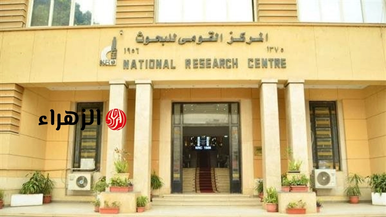 القومي للبحوث يعلن انطلاق قافلة توعوية لدعم صحة الطفل بمكتبة 6 أكتوبر العامة