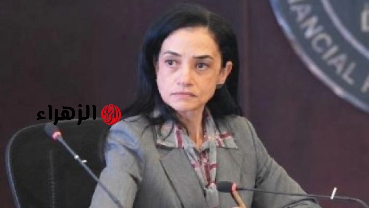 القومي للمرأة يهنئ رحاب طه لتعيينها مساعدا لرئيس الهيئة العامة للرقابة المالية