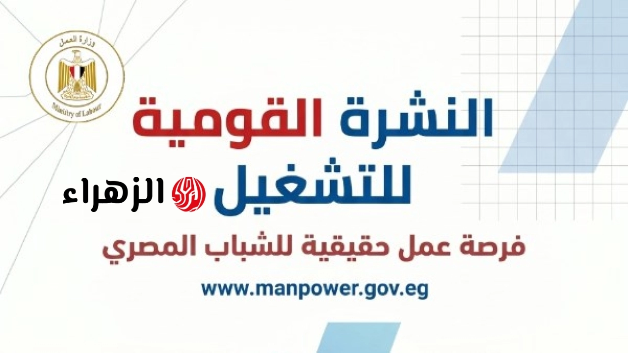 القوى العاملة تعلن توفير 7781 فرصة عمل جديدة للشباب والتقديم مستمر حتى نهاية يونيو