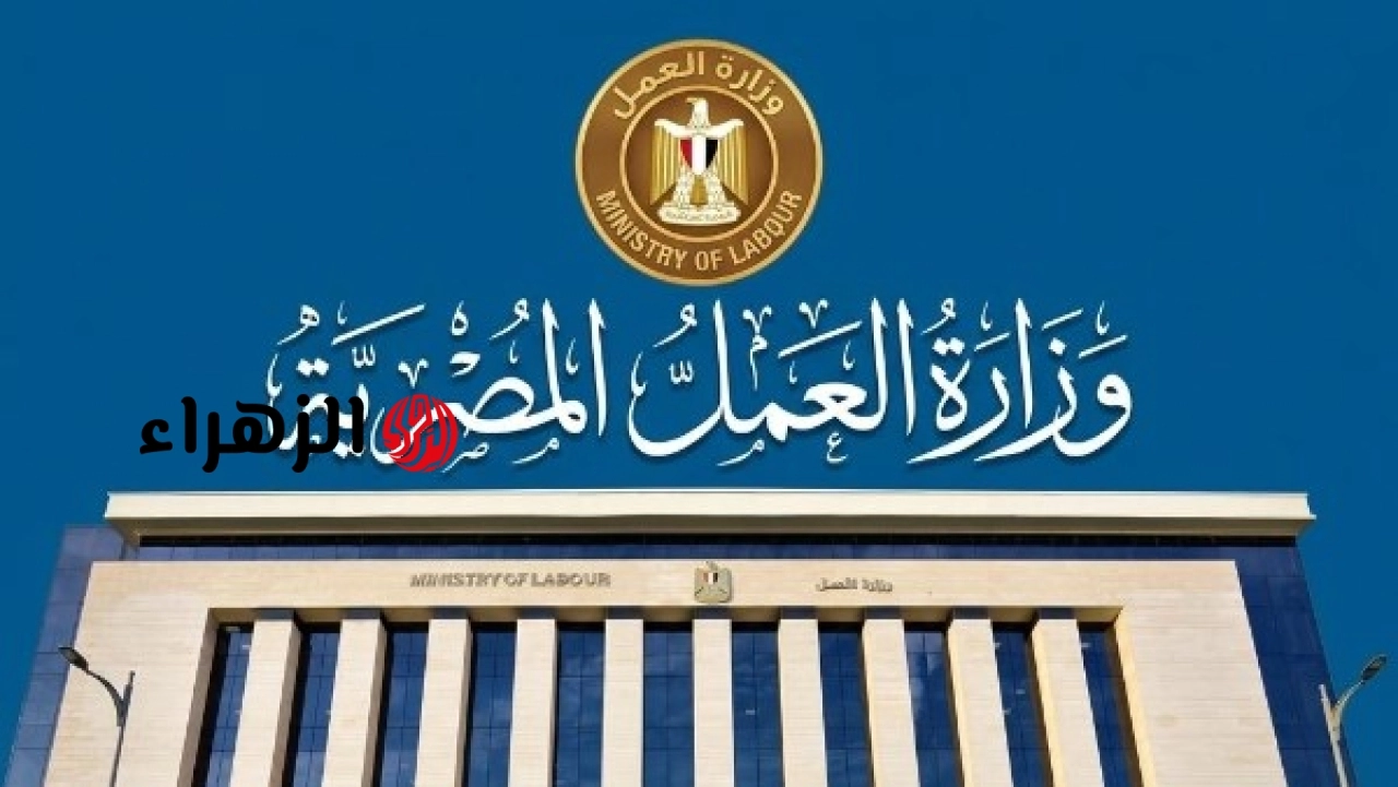 القوى العاملة تعلن مجانية فرص التوظيف الرسمية بالخارج وتنبه المواطنين لتجنب الإعلانات غير الموثوقة