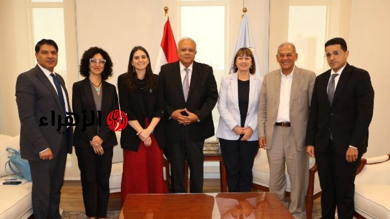 المجلس القومي لحقوق الإنسان والأمم المتحدة يبحثان آليات توسيع التعاون المشترك في مختلف المجالات