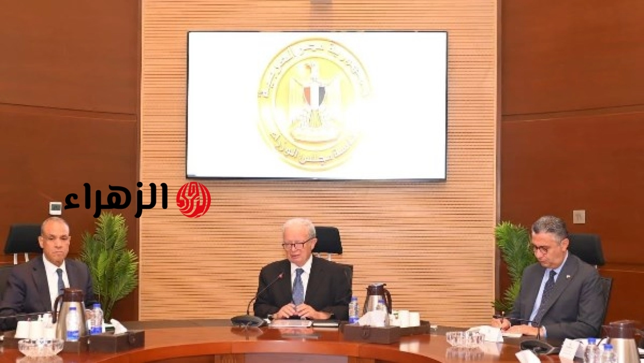 المجموعة الوزارية لريادة الأعمال تعلن دعم فتح أسواق جديدة للشركات الناشئة