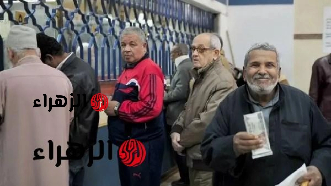 هيئة التأمينات توضح للمصريين بالخارج.. كيف تضمن معاشًا لك ولأسرتك؟