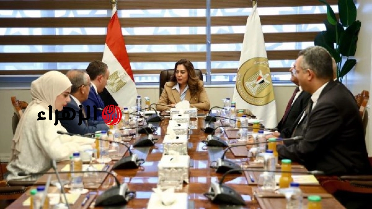 المهندسين تبحث مع التنمية المحلية إنشاء منصة إلكترونية لمتابعة ملفات التصالح في مخالفات البناء