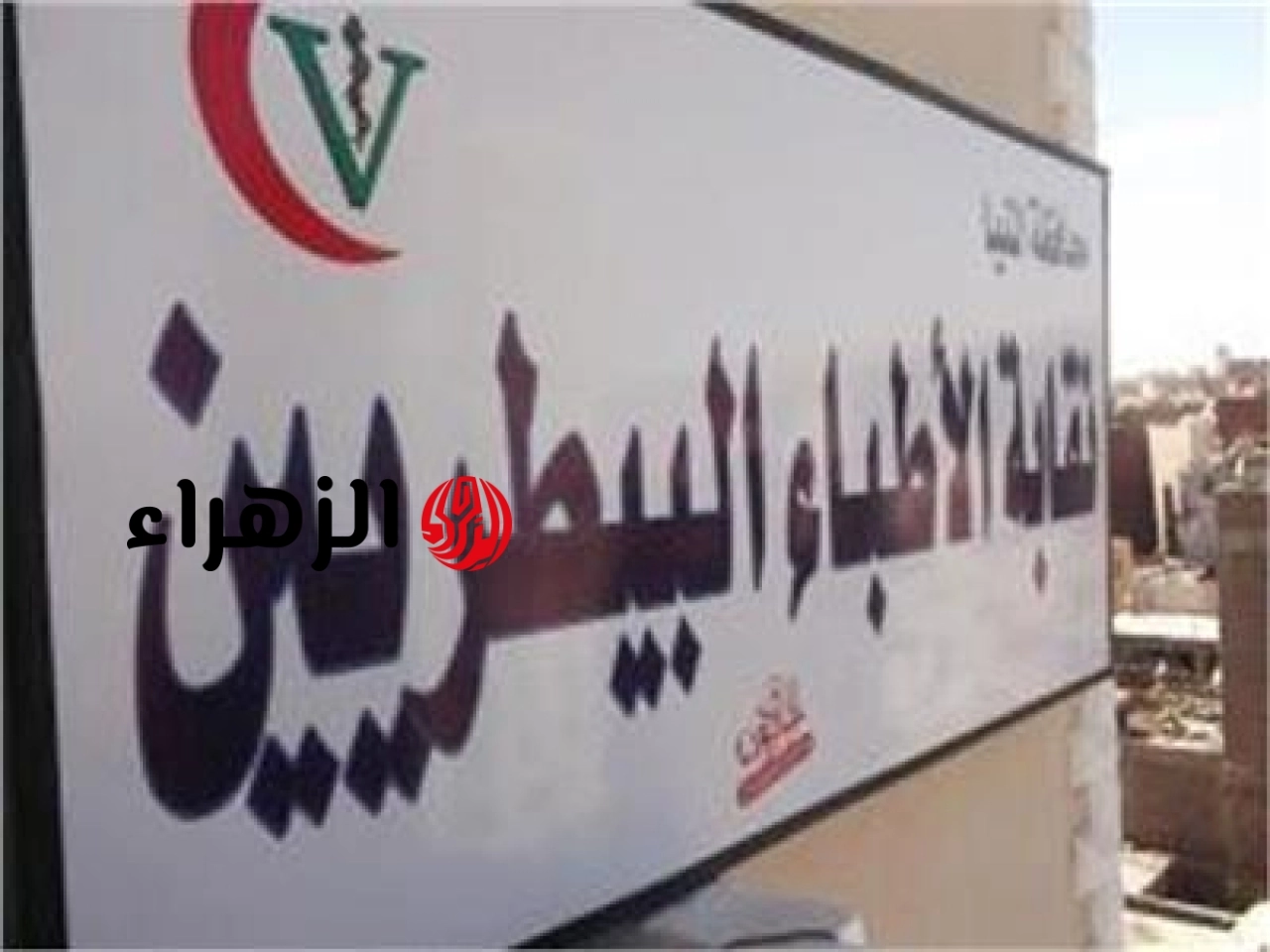 النقابة العامة للأطباء البيطريين تعلن حركة تغييرات موسعة في الهيكل الإداري