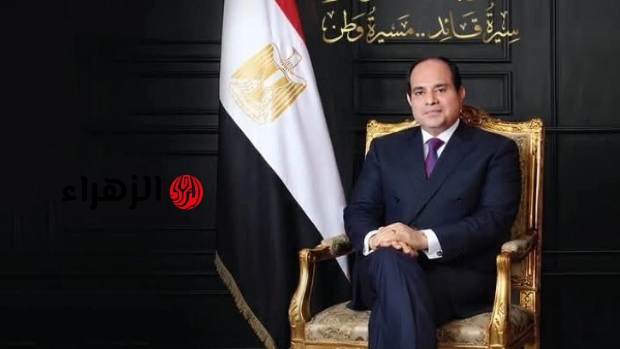 الهيئة الوطنية للصحافة تصدر كتابا يوثق مسيرة الرئيس عبد الفتاح السيسي من الجمالية إلى الاتحادية