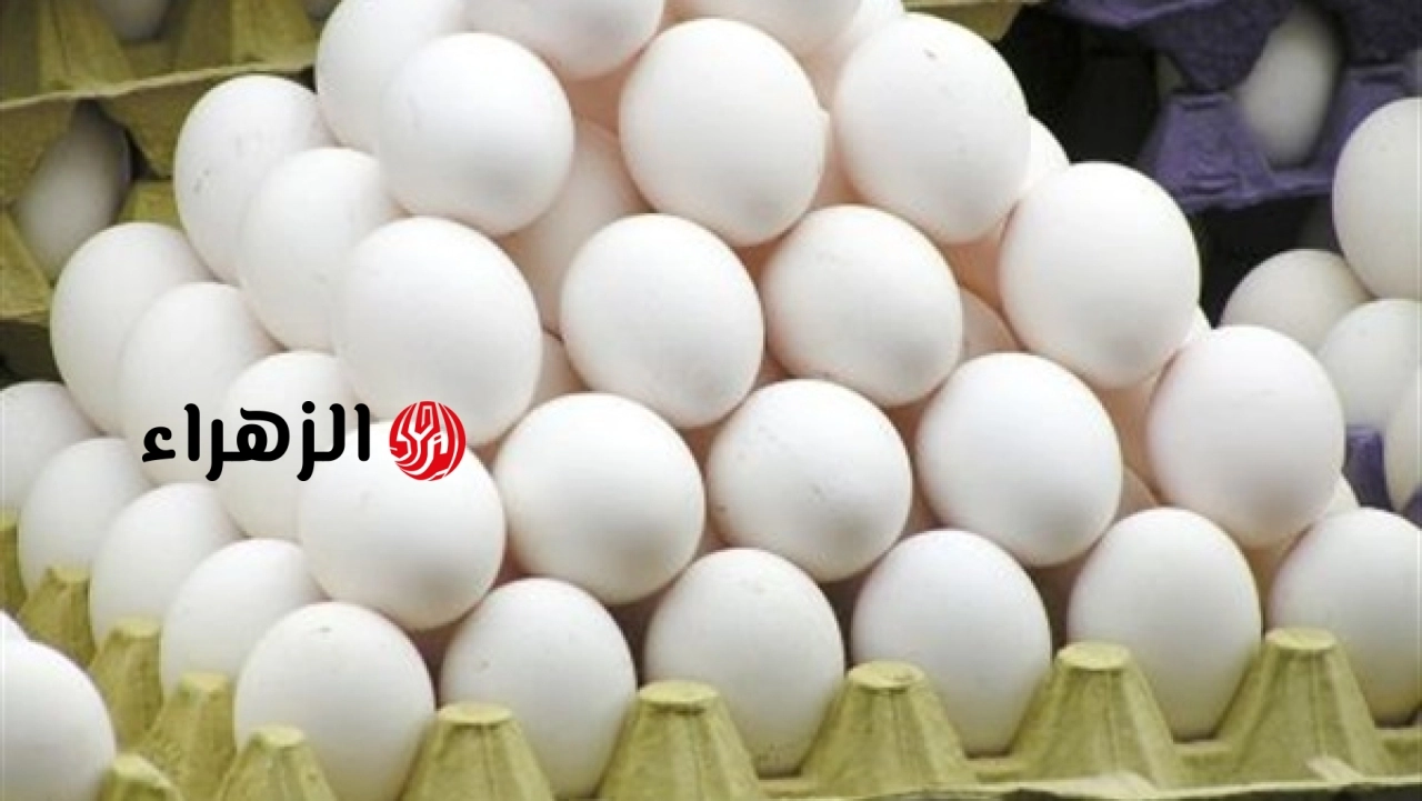 انخفاض أسعار البيض لأقل من 70 جنيها وتراجع ملحوظ في سعر البيض البلدي