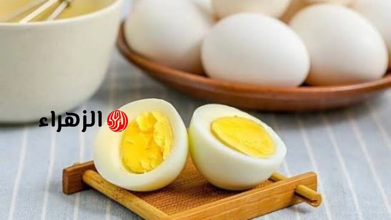 انخفاض أسعار كرتونة البيض إلى 70 جنيهًا بالمزارع اليوم السبت