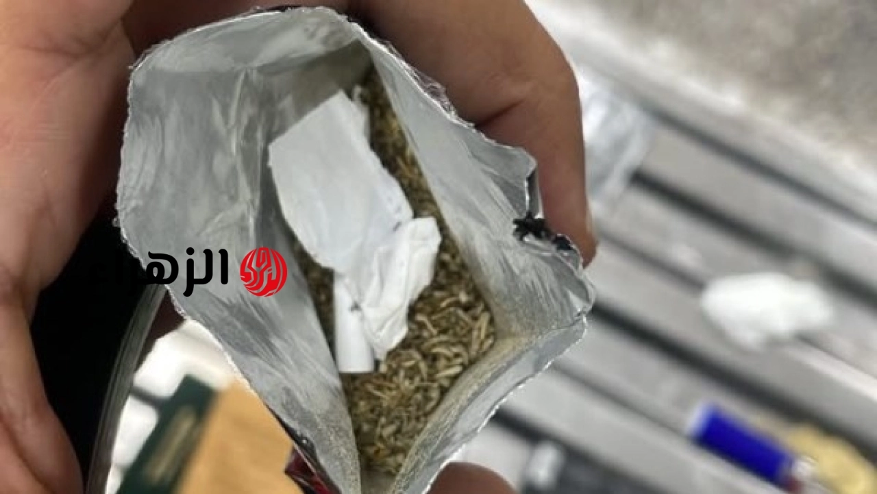 جمارك مطار الغردقة تضبط محاولة تهريب مخدر الفودو داخل أمتعة أحد الركاب