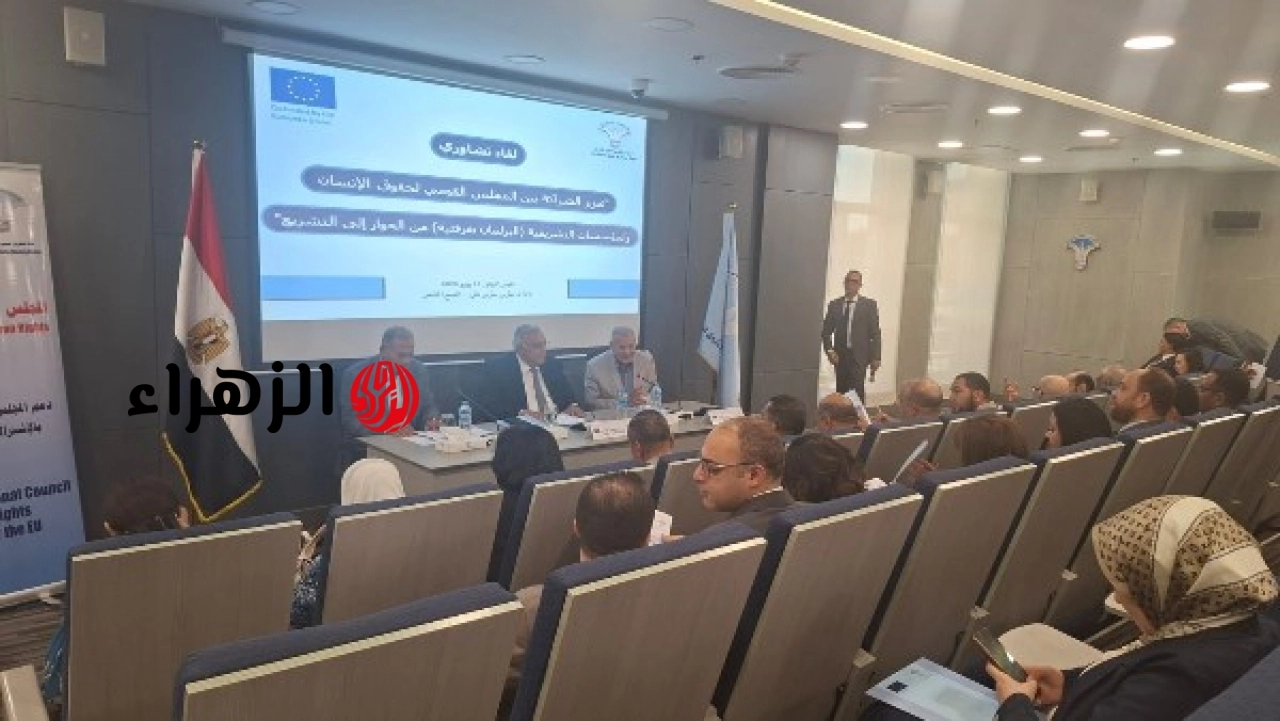 جمال الدين يؤكد أهمية الشراكة بين المجلس والبرلمان لتحويل التوصيات إلى واقع