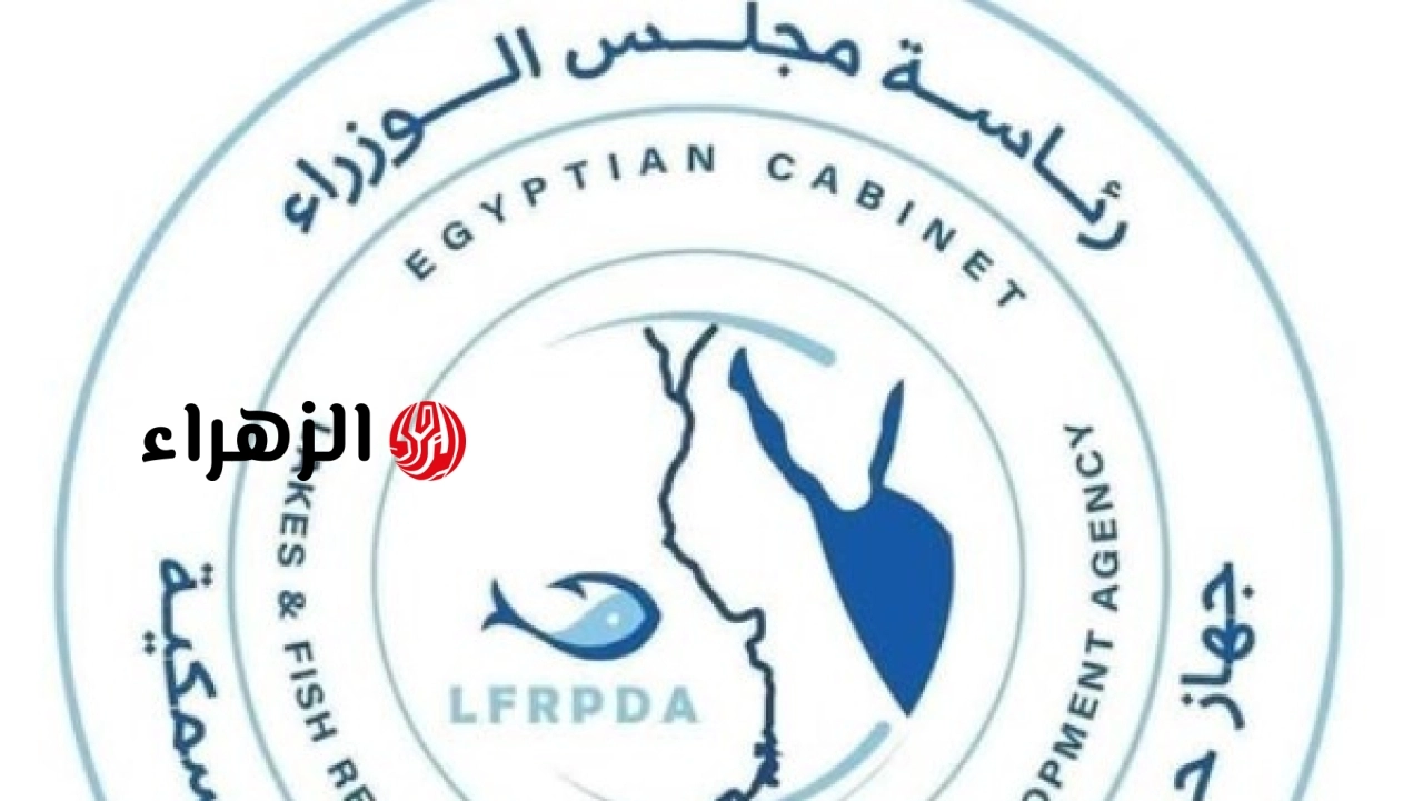حماية البحيرات والمركز الدولي للأسماك يبحثان تعزيز التعاون الفني لتطوير مفرخات البلطي في مصر