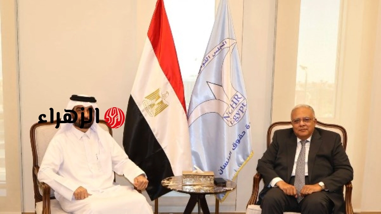 رئيس القومي لحقوق الإنسان يبحث مع أمين العربية للمؤسسات الوطنية تعزيز التعاون المشترك