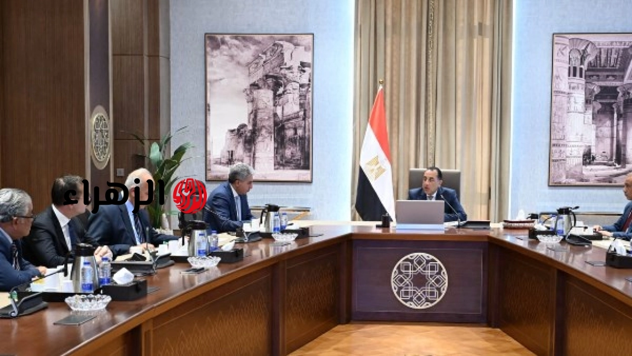 رئيس الوزراء يؤكد دعم السياحة والطيران لتحقيق الاستفادة القصوى من مقومات مصر
