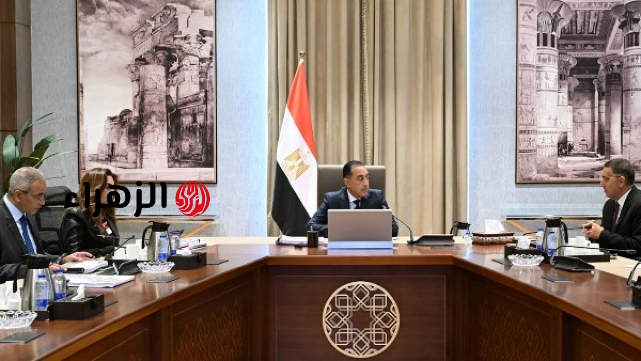 رئيس الوزراء يبحث تنفيذ مشروعات تنموية وخدمية مع محافظ القليوبية