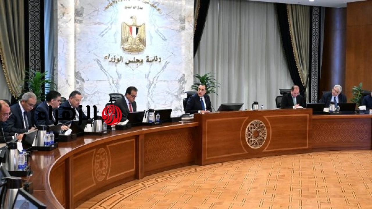 رئيس الوزراء يراجع توافر مخزون الأدوية والمستحضرات الطبية وخطة سداد مستحقات الشركات