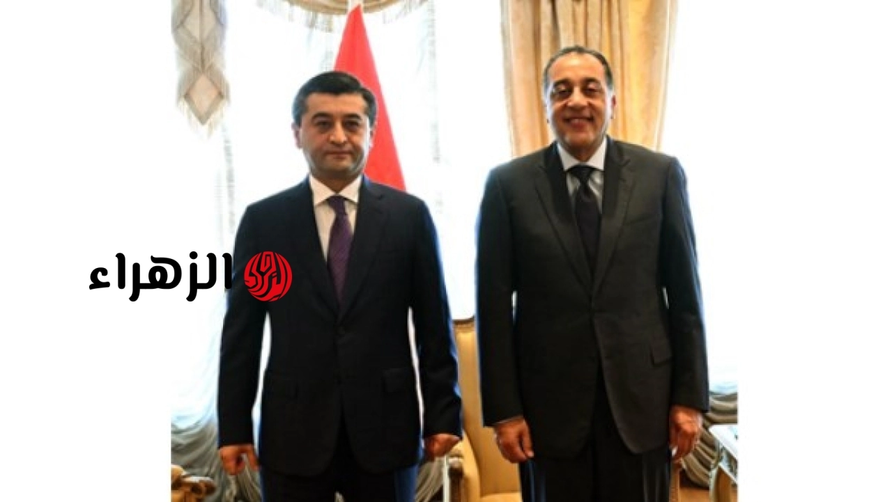 رئيس الوزراء يعلن العمل على توسيع التنسيق مع أوزبكستان في المجالات الدولية