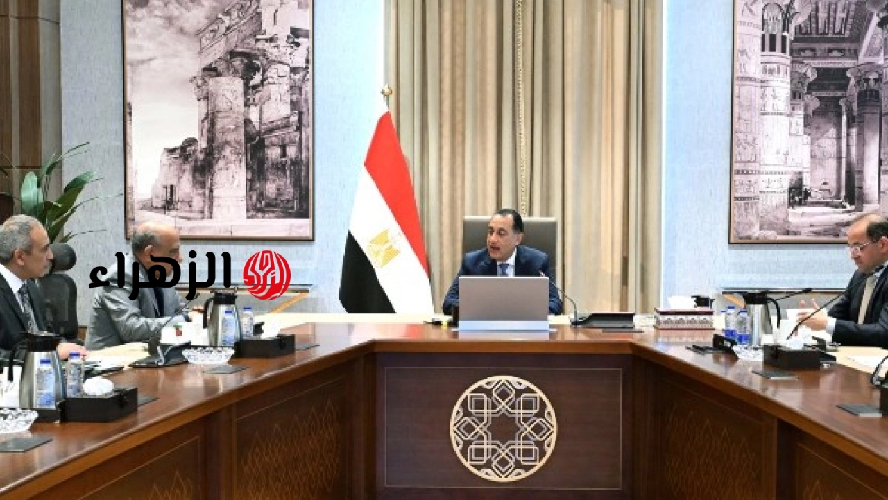 رئيس الوزراء يوجه بالإسراع في توفير التمويل لمشروعات الطاقة الجديدة والمتجددة