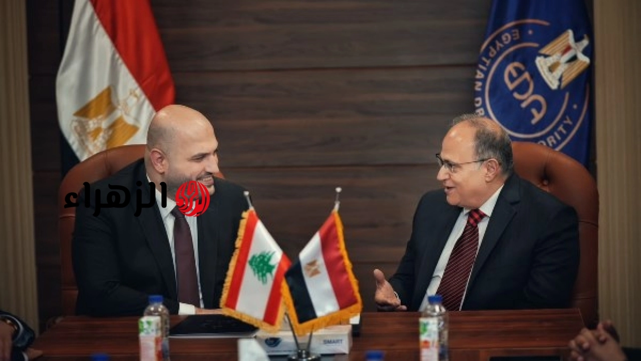 رئيس هيئة الدواء المصرية يبحث مع وزير الصحة اللبناني سبل تعزيز التعاون التنظيمي والدوائي بين البلدين
