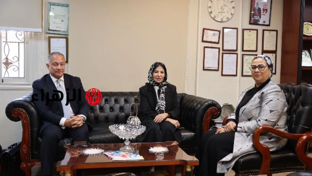 رئيسة المجلس القومي للمرأة تبحث مع منظمة التعاون الإسلامي سبل تعزيز التعاون المشترك