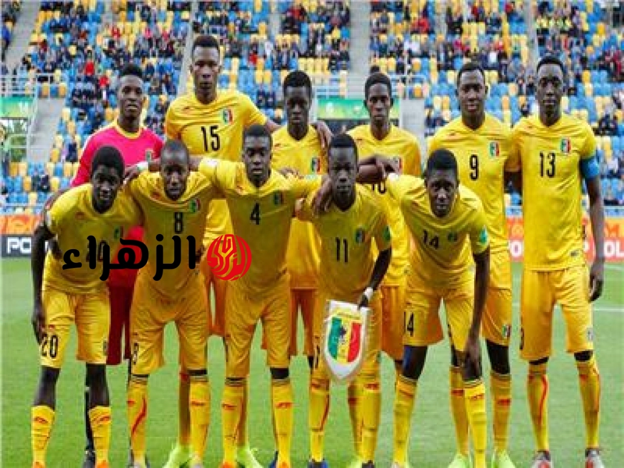 رينون ويليامز يطالب بترك السياسة للسياسيين والتركيز على كرة القدم فقط