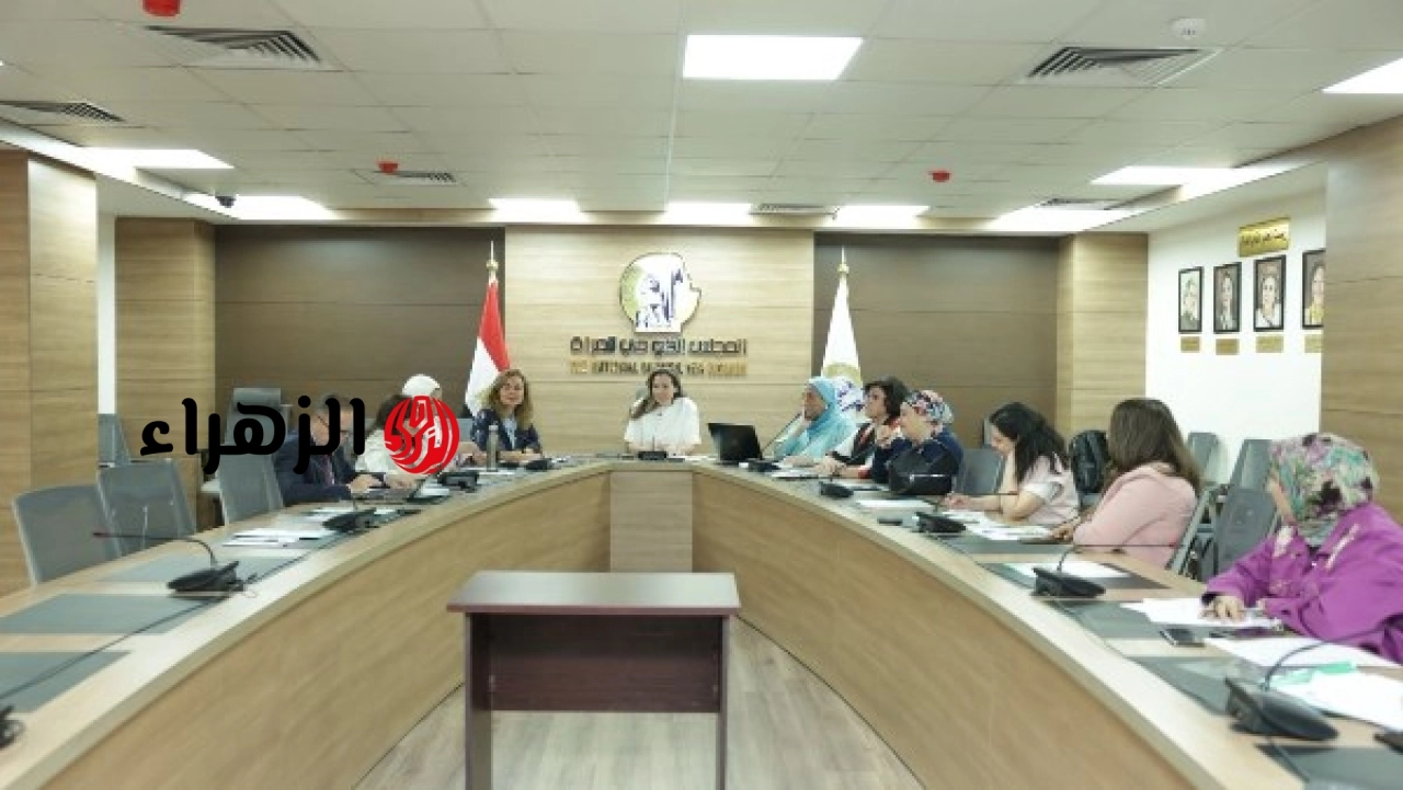زينة توكل تعلن دمج قضايا المرأة ذات الإعاقة في مشروعات المجلس القومي للمرأة