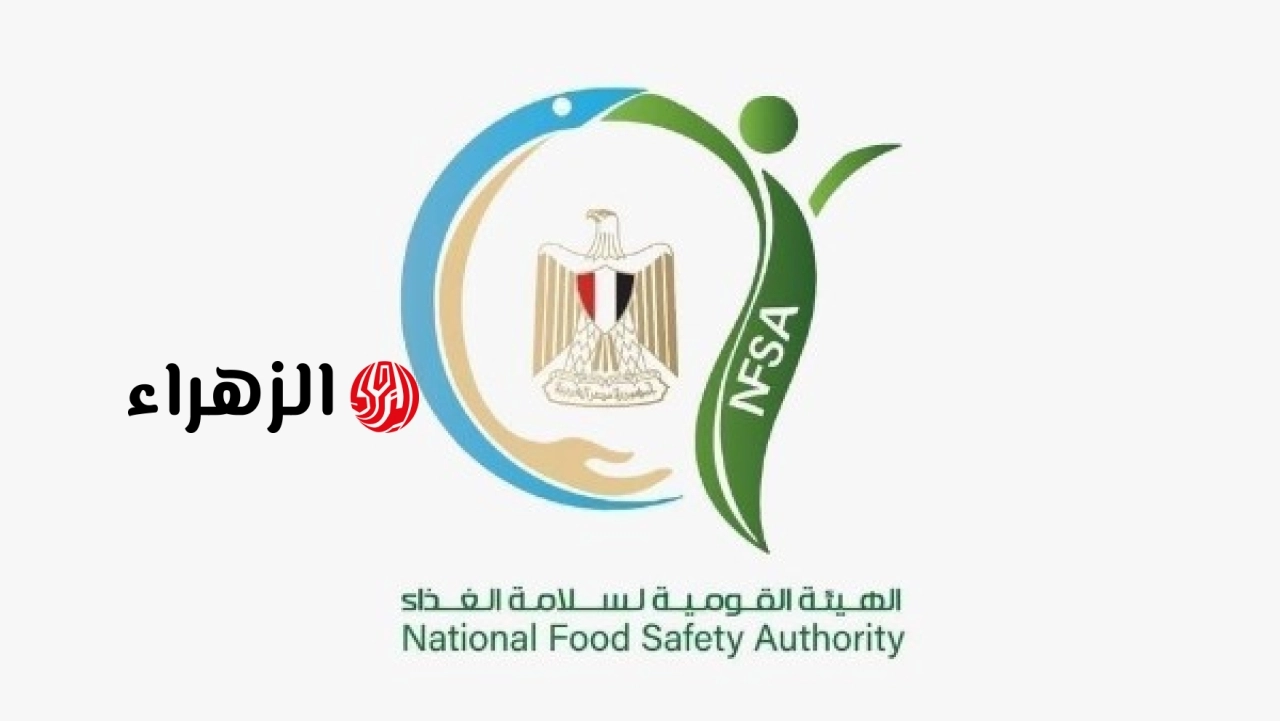 سلامة الغذاء تعلن تصدير 216 ألف طن مواد غذائية وأمريكا تتصدر قائمة الدول المستوردة