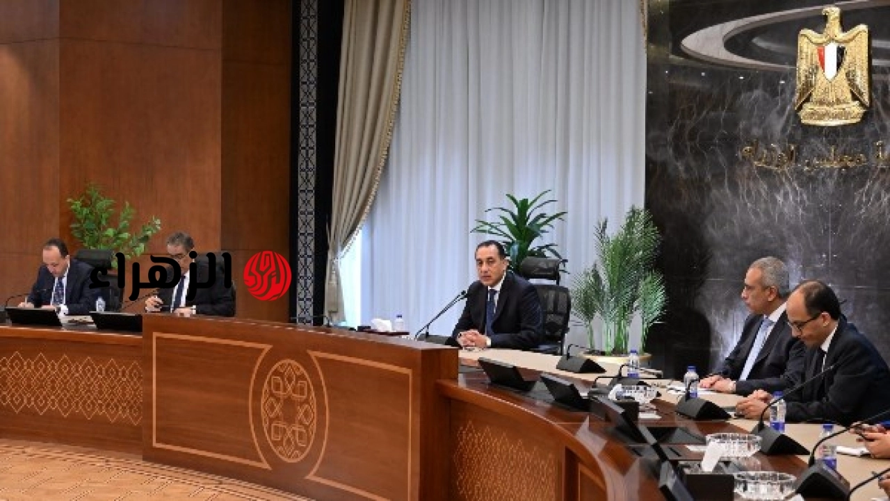 شركة صينية تعلن دعم الشبكة القومية للكهرباء وتنفيذ مشروعات تحلية مياه البحر في مصر