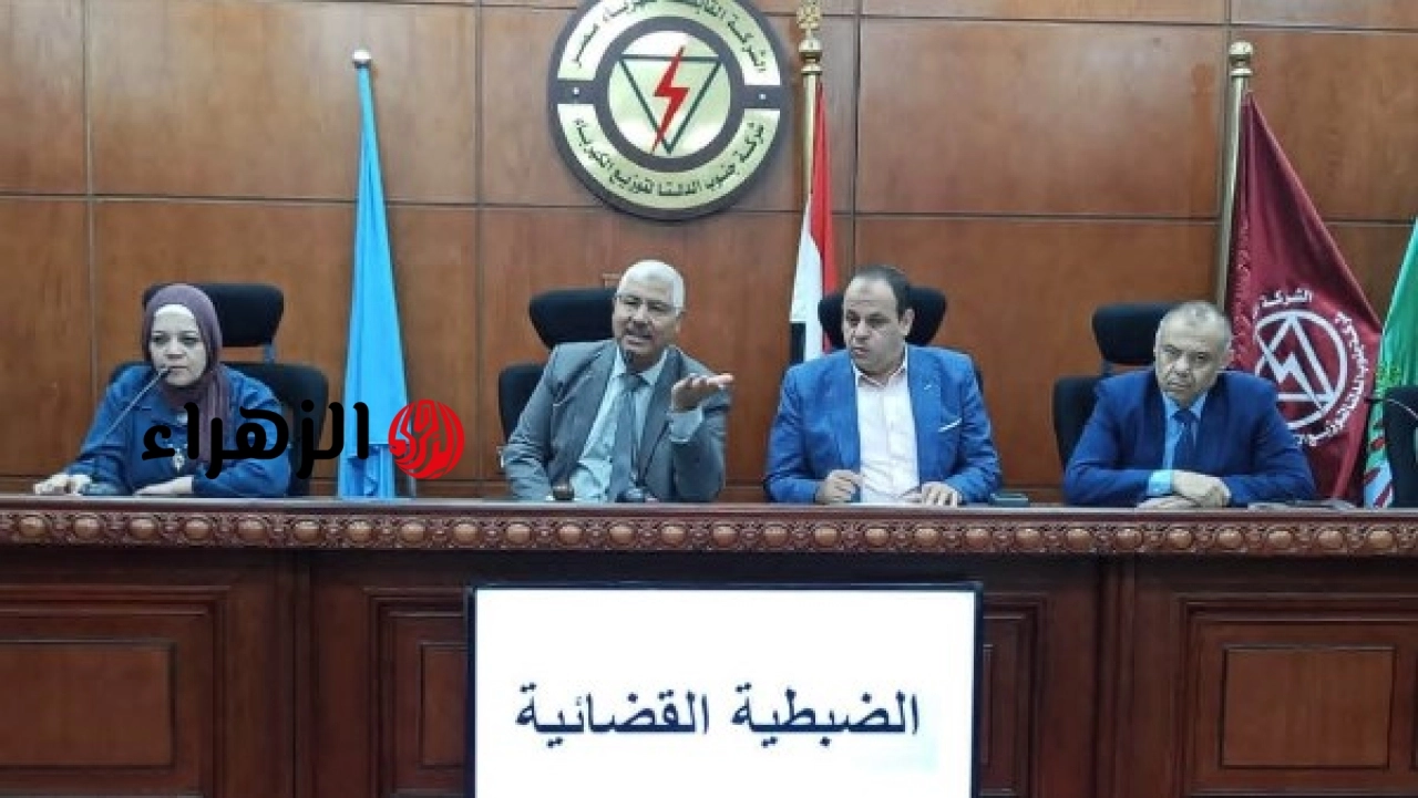 شركة كهرباء جنوب الدلتا تنظم ندوة توعوية لمأموري الضبط القضائي