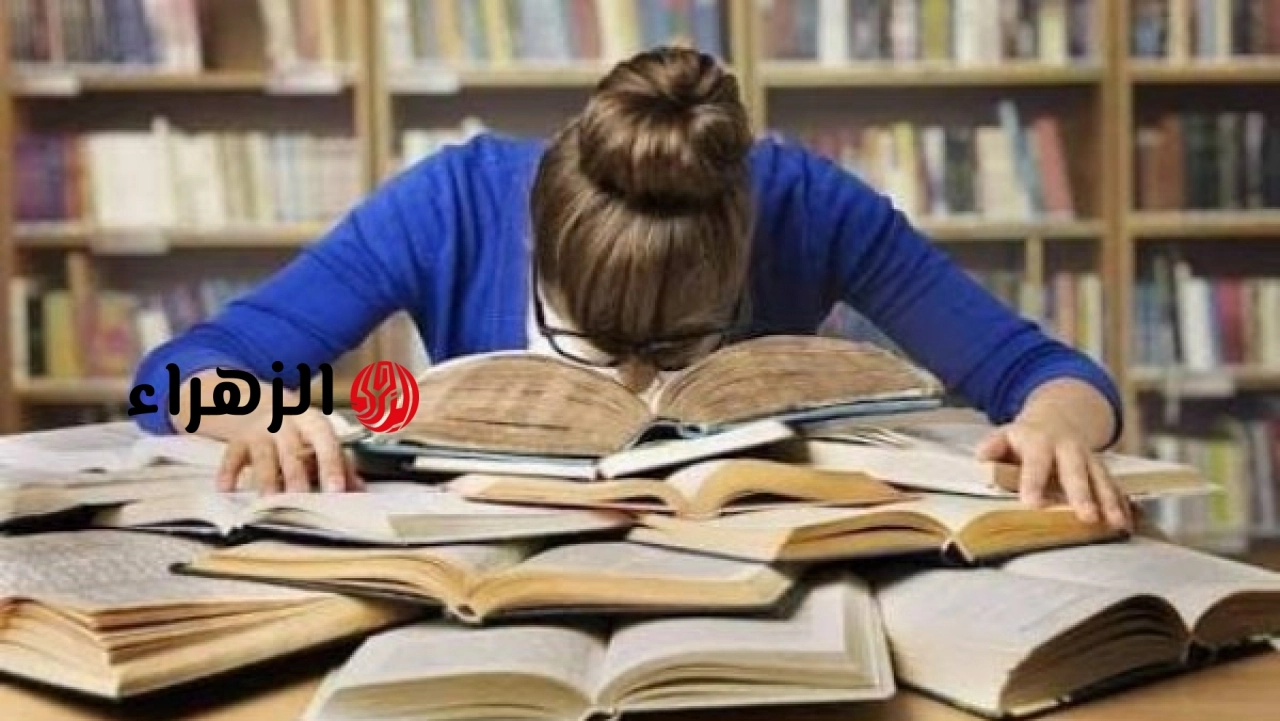 طالبة بالثانوية العامة تؤكد تعرضها لضغوط خلال امتحان اللغة العربية وتتهم لجنة الامتحان بالتأثير على مجهودها