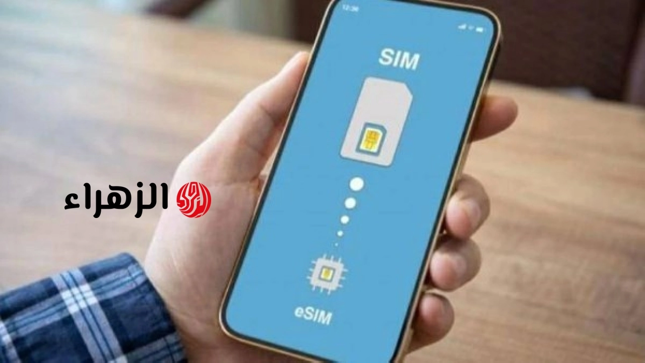 طريقة الاستعلام عن عدد خطوط الهاتف المحمول المسجلة باسم المستخدم في مصر
