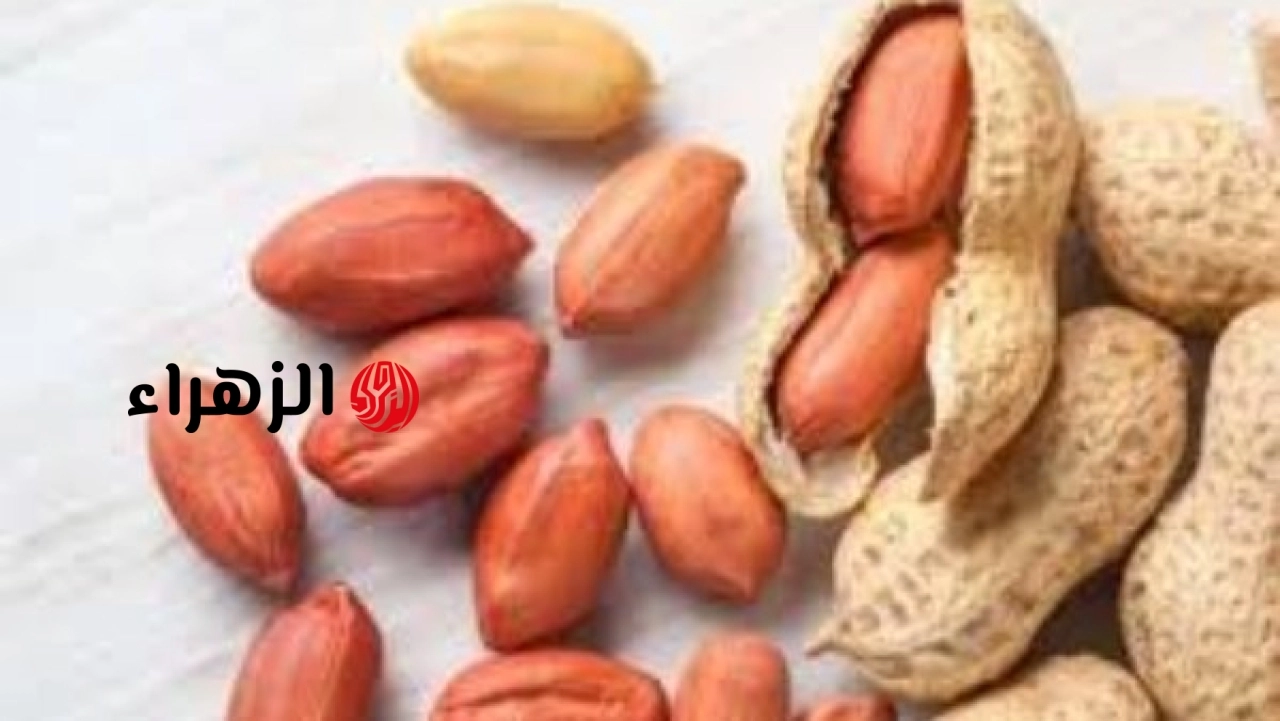 عاجل: ضبط كميات من الفول السوداني تحتوي على صبغة محظورة في عدد من الأسواق المحلية