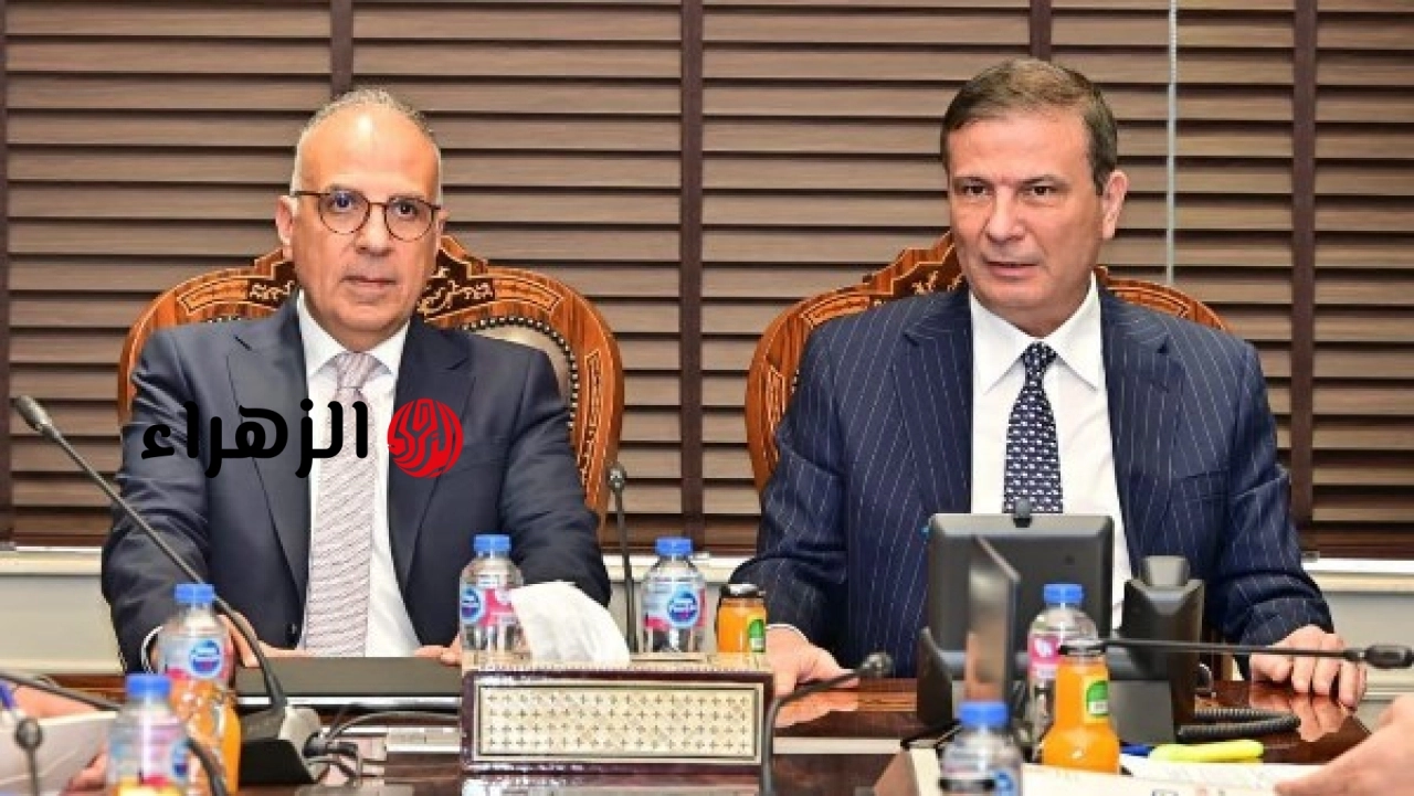 فاروق وسويلم يبحثان مع وفد صيني فرص الاستثمار المباشر وتوطين الآلات المتطورة في مصر