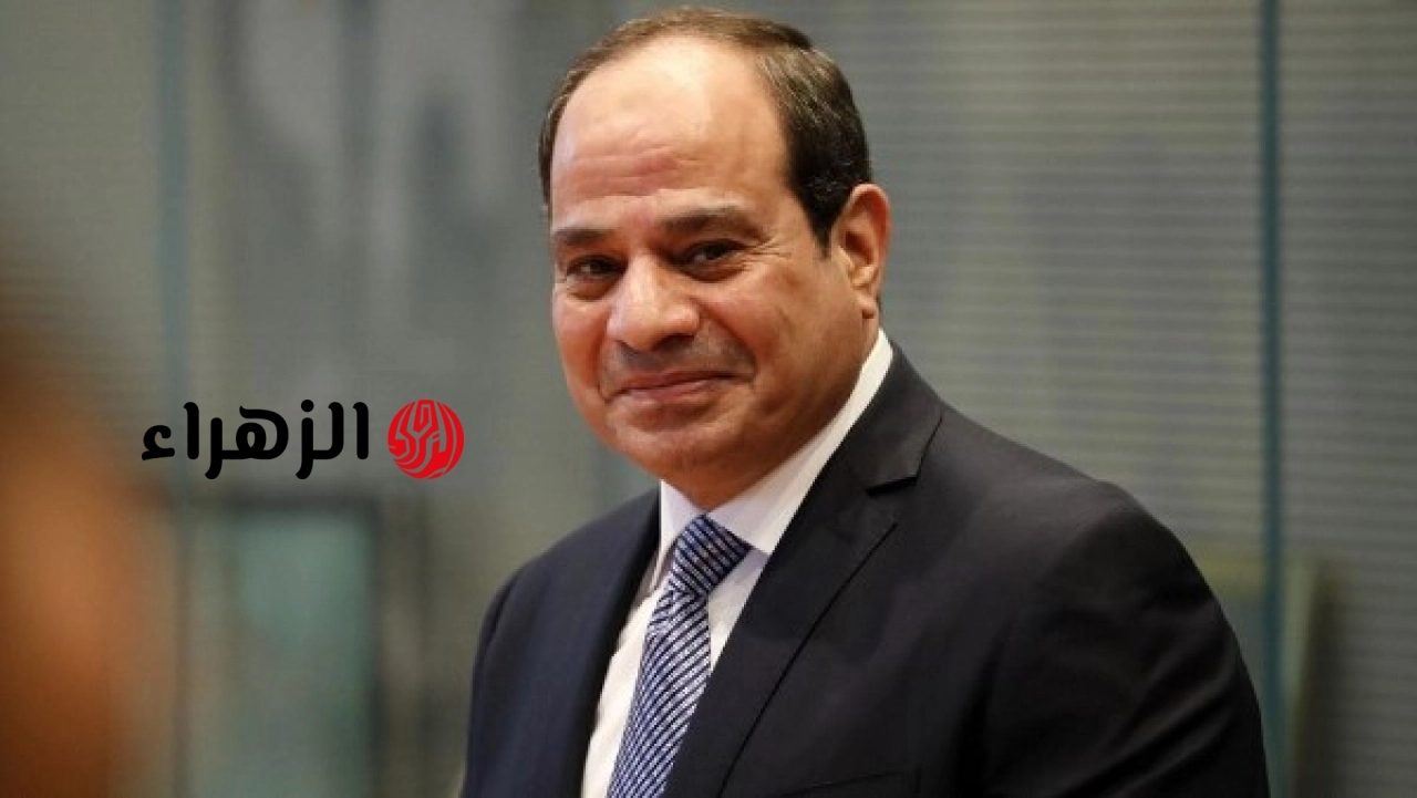 قرار جمهوري بالعفو عن بعض المحكوم عليهم بمناسبة ذكرى ثورة 30 يونيو