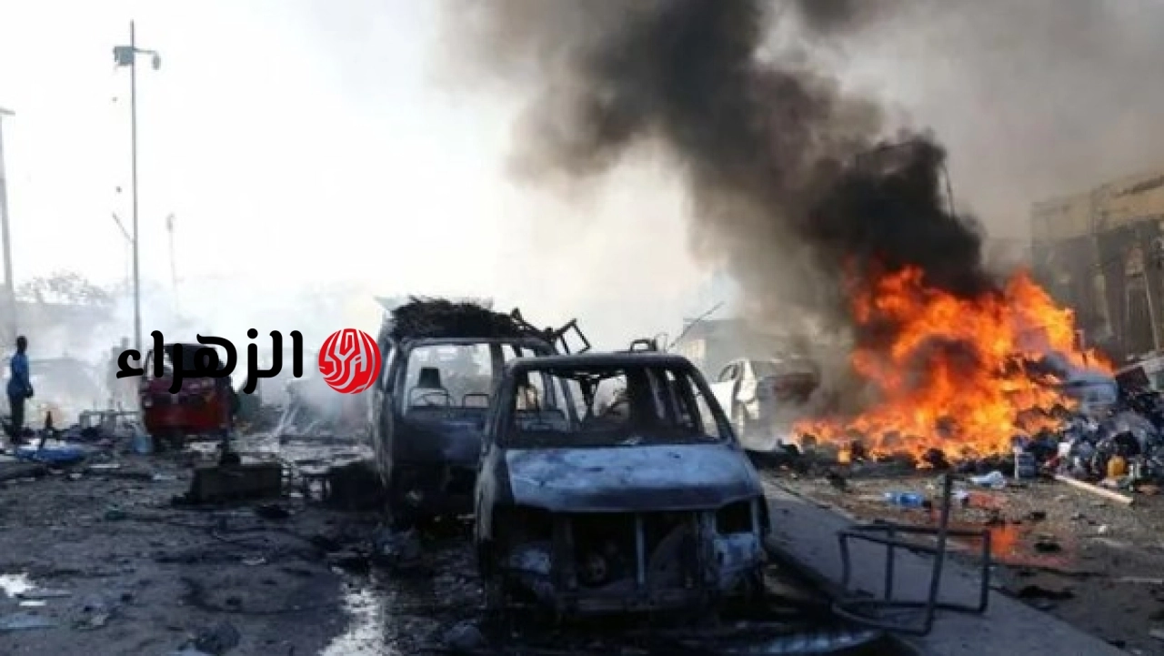 مجلس حكماء المسلمين يدين الهجوم على مطار في النيجر
