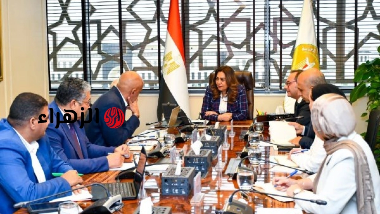 محافظة البحر الأحمر تعلن تتبع القروش وتحديد مواقع غوص بديلة ضمن 4 قرارات لتعزيز حماية البيئة البحرية