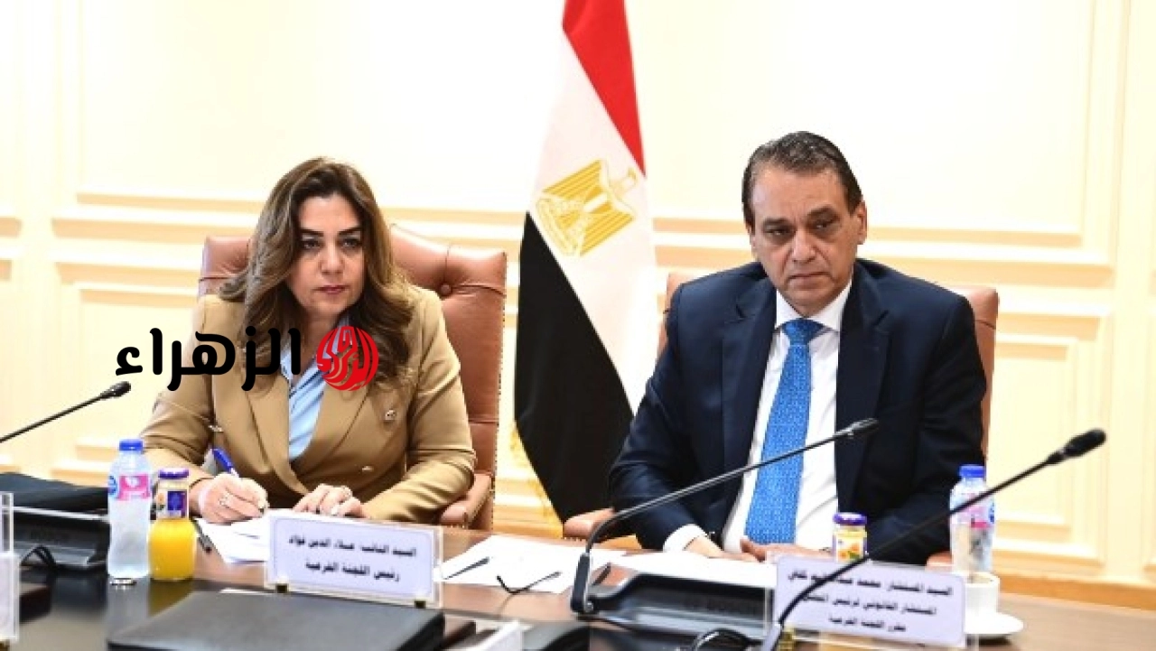 محافظة دمياط تؤكد أهمية توافق قانون الإدارة المحلية الجديد مع التطورات العالمية المتسارعة