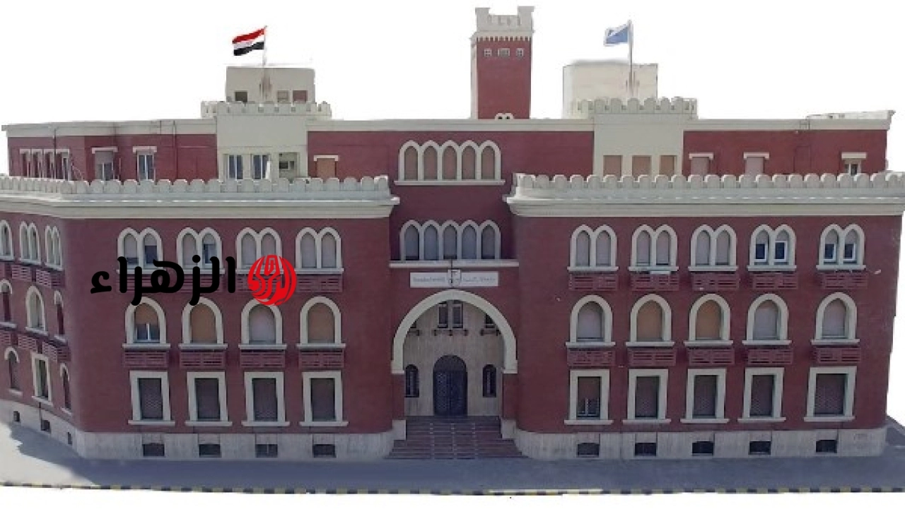 مستشفى سرطان الأطفال الجامعي ببرج العرب يحقق نجاحًا في إجراء عمليات جراحية لعلاج الأورام عالية الخطورة