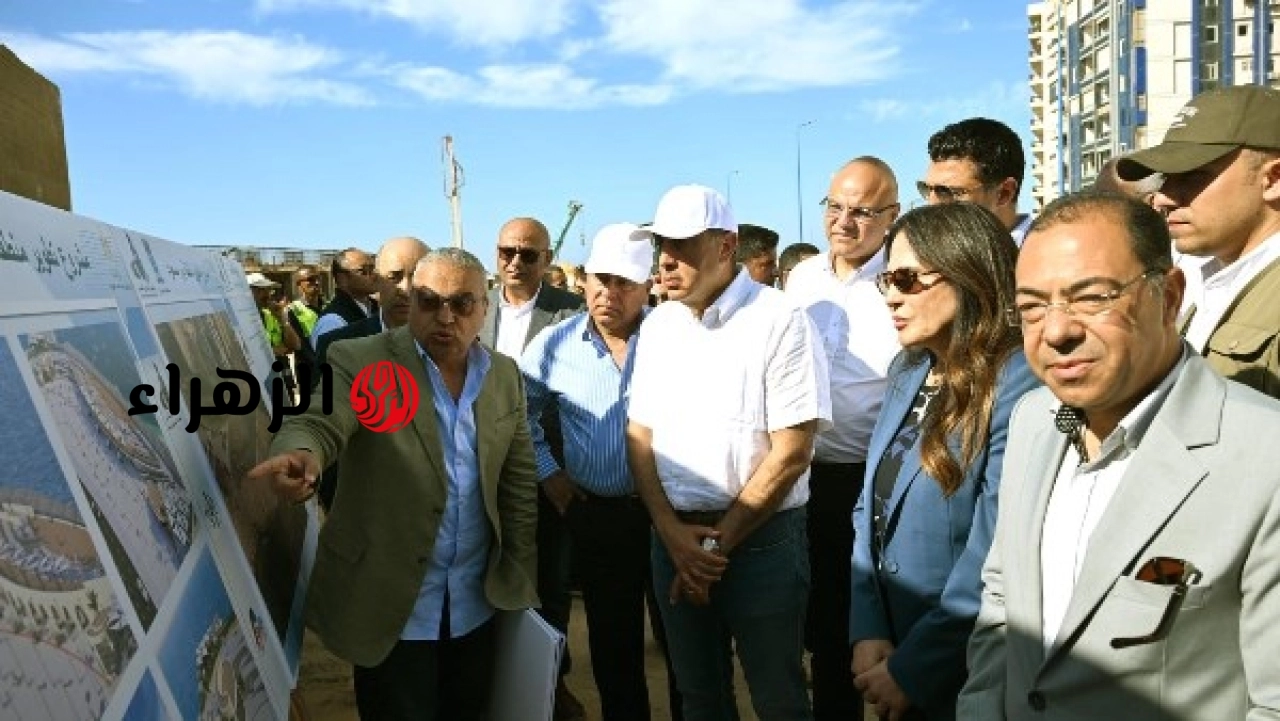 مشروع ميناء أبو قير يتيح استقبال أكبر سفن العالم ويعزز حركة النقل البحري بمصر