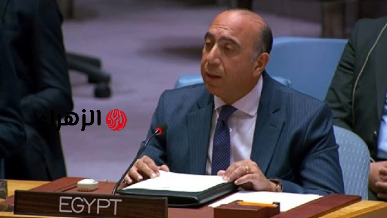 مصر تؤكد أمام مجلس الأمن أن السودان يواجه تحديات وتدعو المجتمع الدولي لدعم الاستقرار