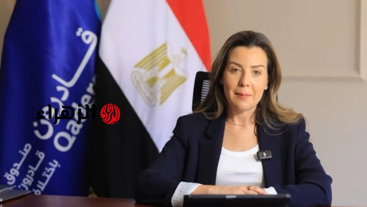 مصر تستعرض تجربتها في تمكين ذوي الإعاقة أمام الأمم المتحدة بنيويورك