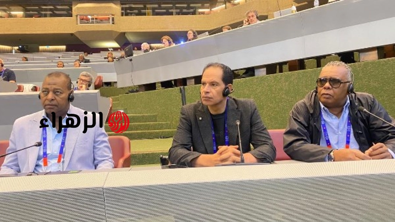 مصر تشارك في اجتماع فريق العمل الدولي في جنيف