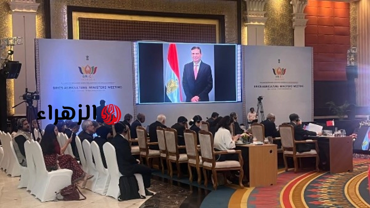 مصر تطالب بدعم مواجهة تغير المناخ وتعزيز الأمن الغذائي خلال اجتماع بريكس