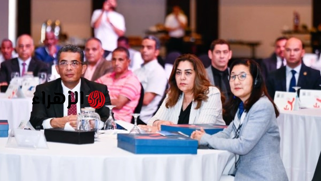 مصر تعلن إنشاء الصندوق المصري للشعاب المرجانية لجذب استثمارات طويلة الأجل وحماية ثروات البحر الأحمر