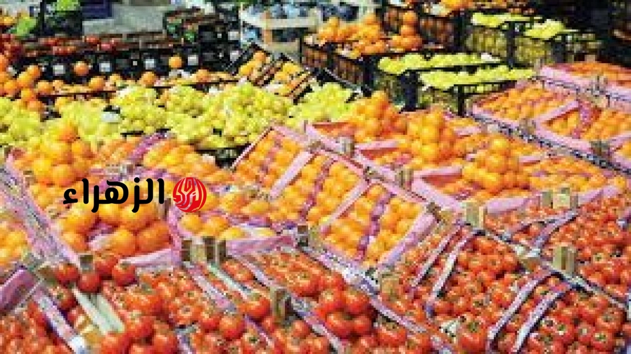 مصر تعلن ارتفاع صادرات البطاطس والعنب بجانب البرتقال ضمن قائمة الصادرات الزراعية